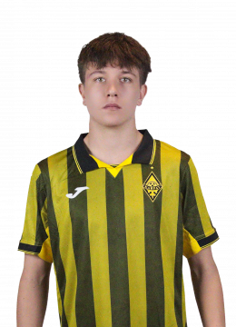 АльфирХанафи