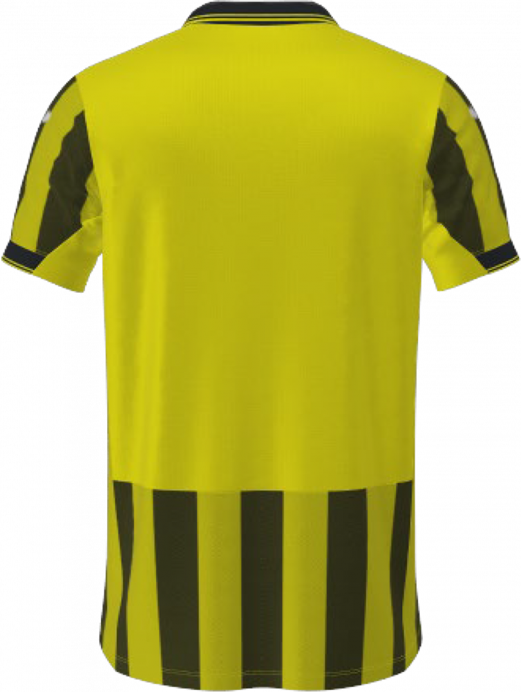 Футболка игрока